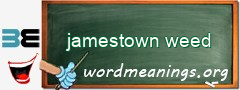 WordMeaning blackboard for jamestown weed